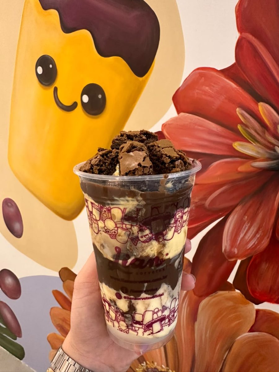 COPAO BROWNIE 500 ML