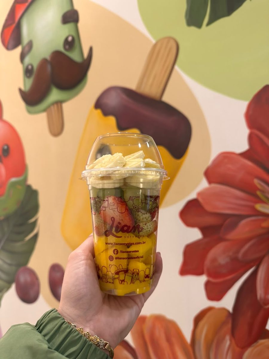 SALADA DE FRUTA 500ML